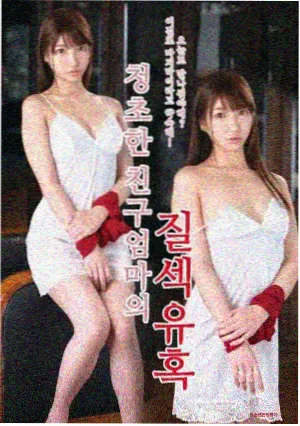 回声档案免费高清视频观看