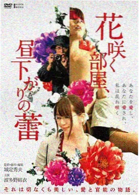 海雾之上免费高清视频观看